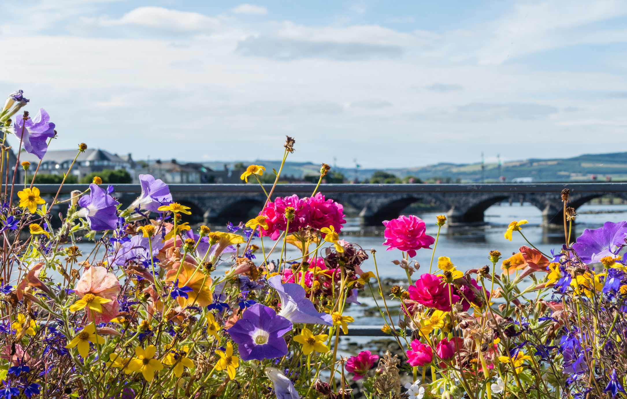 Flowers on a bridge in Limerick, Ireland