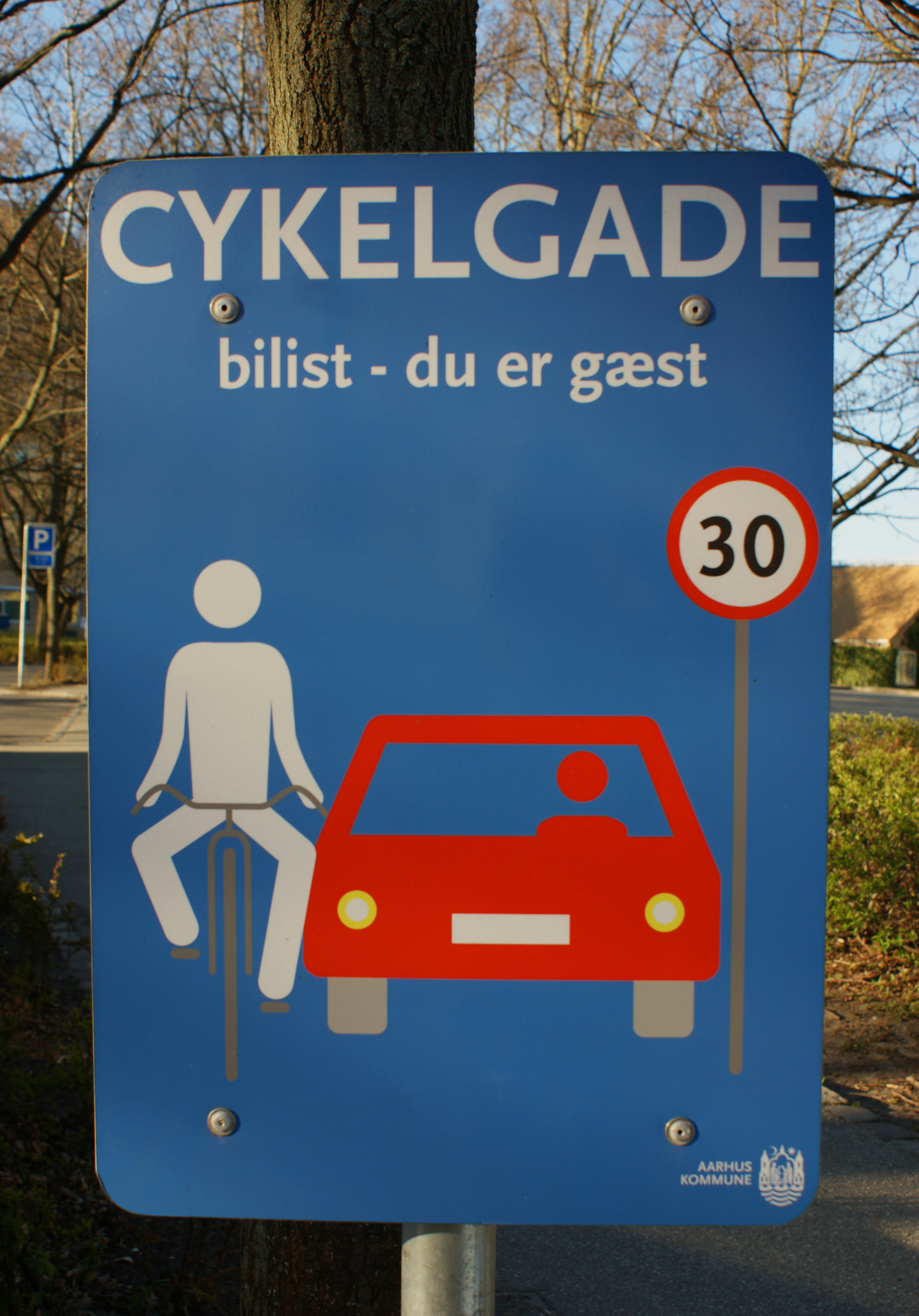 Cycling Street Aarhus