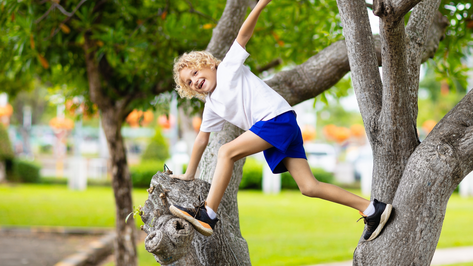 Photo of child playing in tree