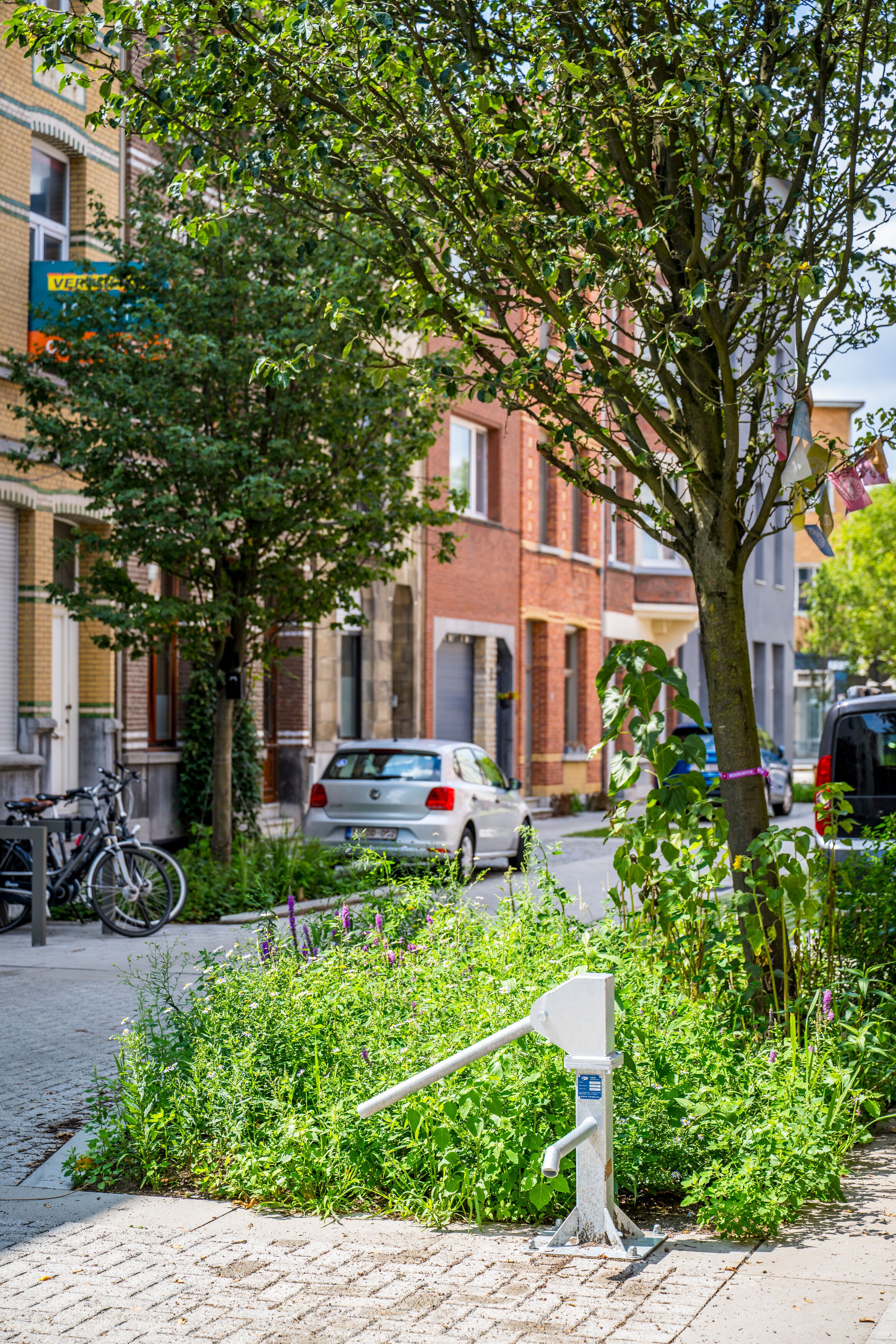 Waterduurzame straat Antwerpen