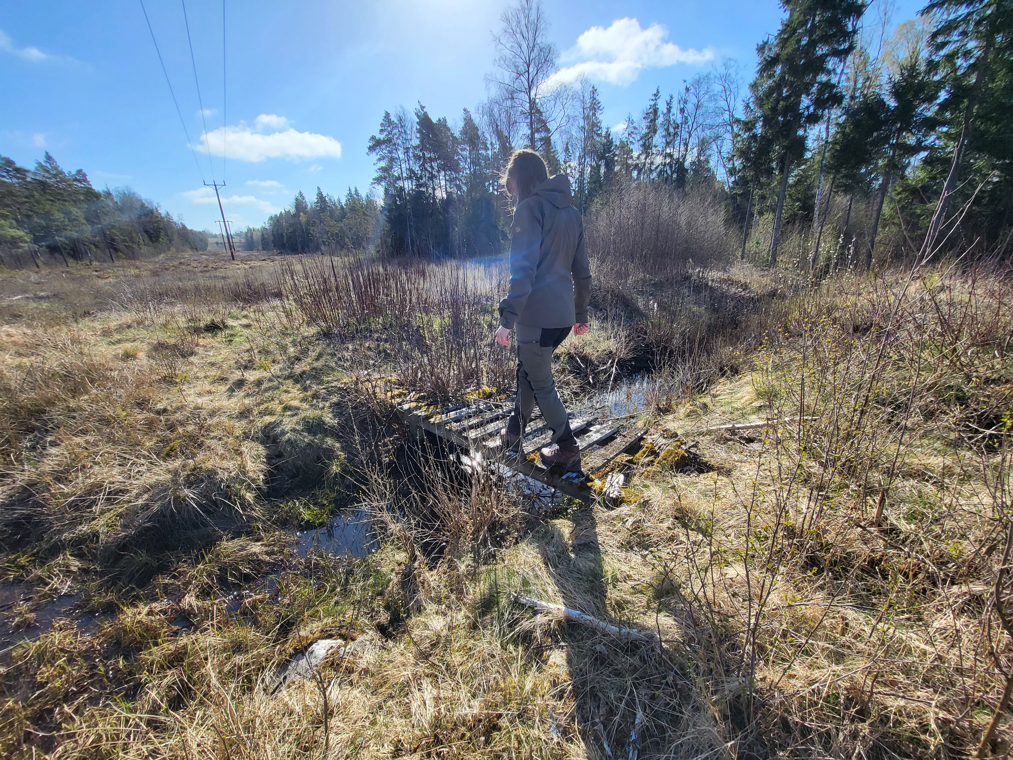 Photo of woman crossing bridge in wetland