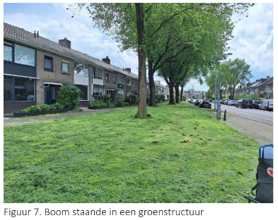 Photo of green street lined with trees and houses
