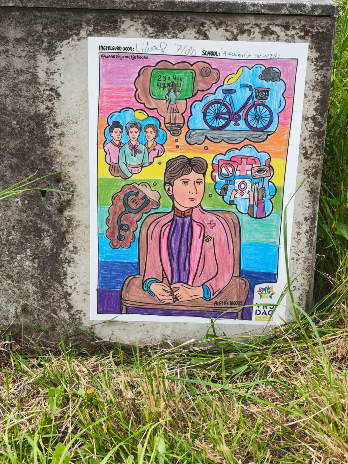 An image of the newly decorated electrical box in Hoogkerk