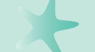 Illustration of a green starfish on light green background