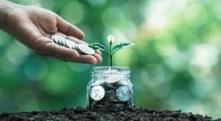 Jar with a growing plant next to a hand holding coins.