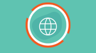 Icon showing a globe.