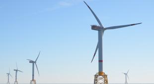 Picture of an offshore wind farm