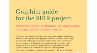 SIRR - Graphics guide