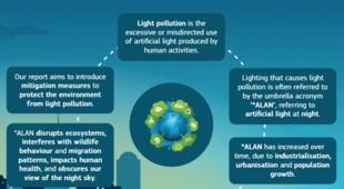Teaser image infographic what is light pollution