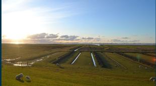 Salt marshes near Marne (Schleswig-Holstein) © Robert Zijlstra/RWS