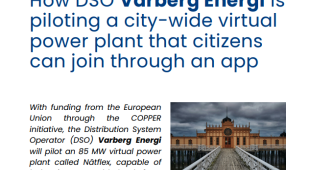 Front cover of Varberg case study