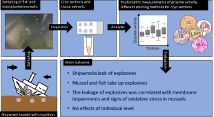 graphical abstract