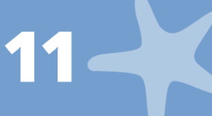 A starfish and the number 11.