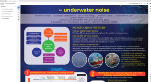 Poster Arienne Calogne