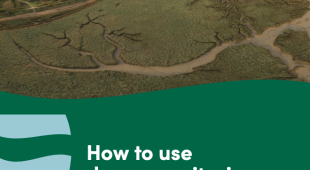 Cover image and document title