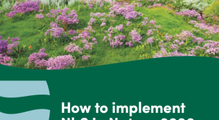 Cover image and document title