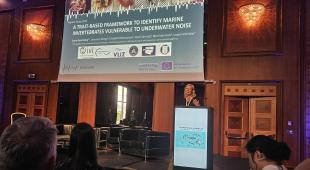 Presentation Anna-Sara Krång