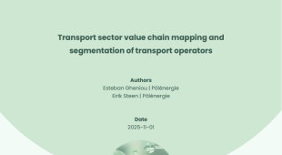H2ignite Report A1.1 - Transport sector value chain mapping