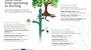 SIRR hubs: From sprouting to thriving