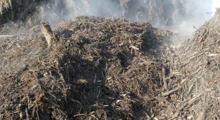 Compost and emission