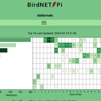 Graph of detected bird voices