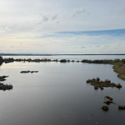 Hornborgasjön Nature reserve 2