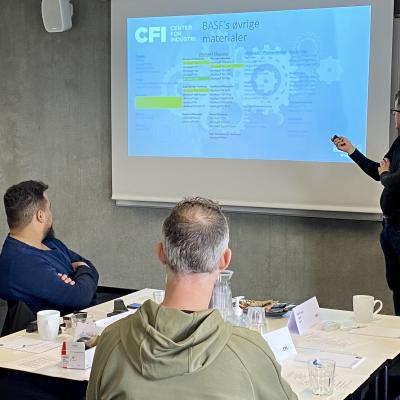 Denmark Recordings from Stakeholder Group Meetings