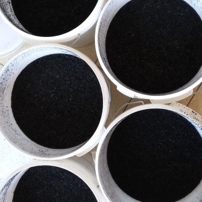 Biochar 