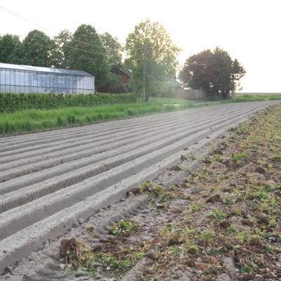 Use of biochar