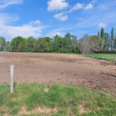 Mechelen potential location