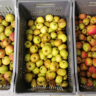 Apple from cider industry