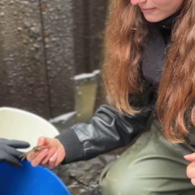 Carlotta holding her first Chinese mitten crab