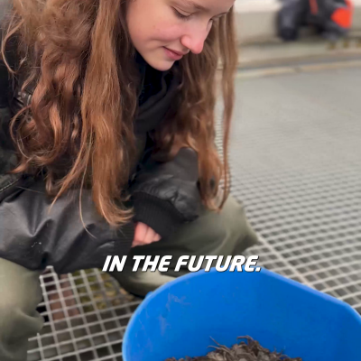 Carlotta thinking about what we will do with the crabs in the future