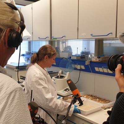 Hilke working in the laboratory