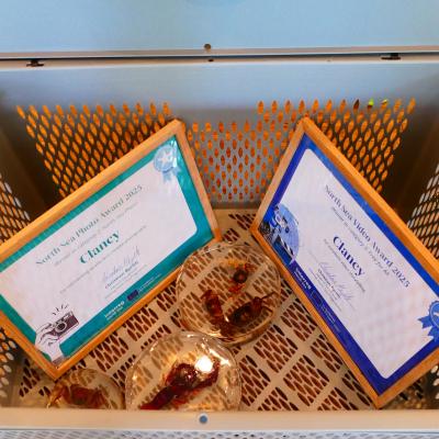 The catch basket of our trap at the North Sea Conference