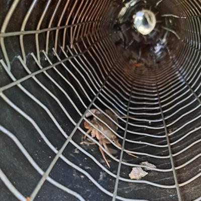 Corroded galvanized steel inside