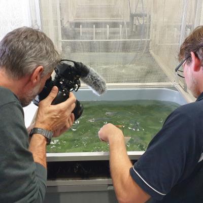 Oliver feeding fish at AWI