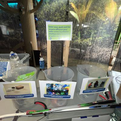 Treasure survey at the researchers night