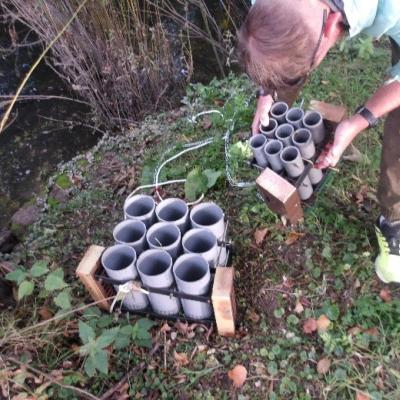 Condo traps in the Amboise River 