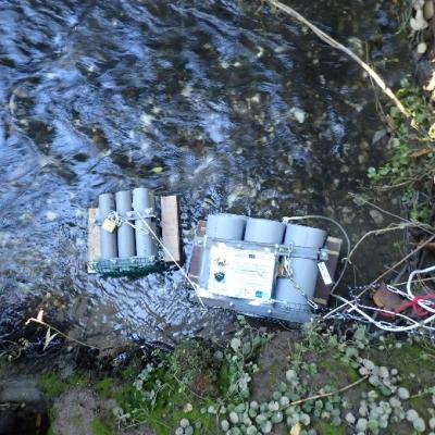 Condo traps in the Amboise River 