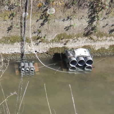 Condo traps in the Canal à poissons river 