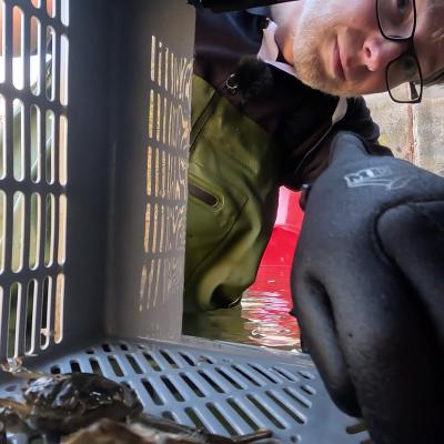 Oliver emptying the trap