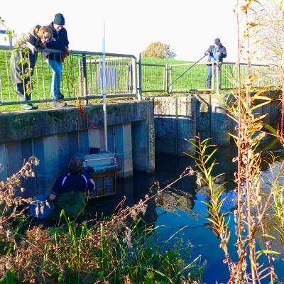 ZDF team at Werdersee