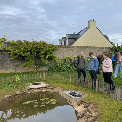 Photo of pond in pilot site