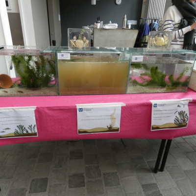 Clancy at Science Day