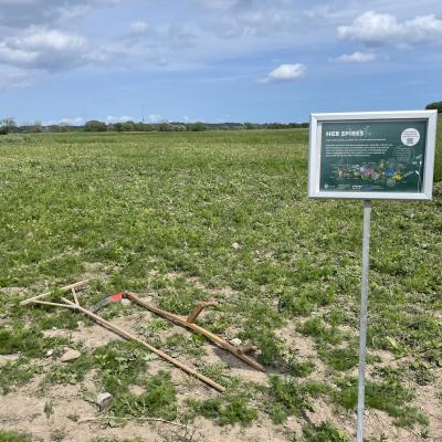 Photo of green field