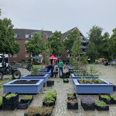 Photo of pop up tree planting on Lindenhof