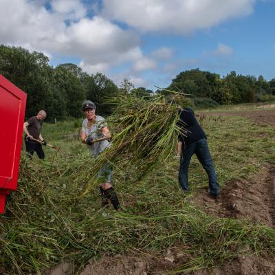 Photo of volunteers clearing grass