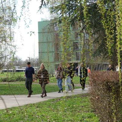 Photo of partners walking through green campus
