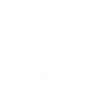 Illustration of a bee